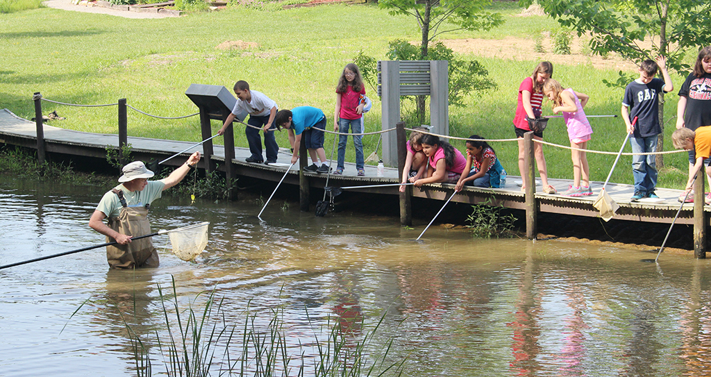 man in pond helping students look for organisms